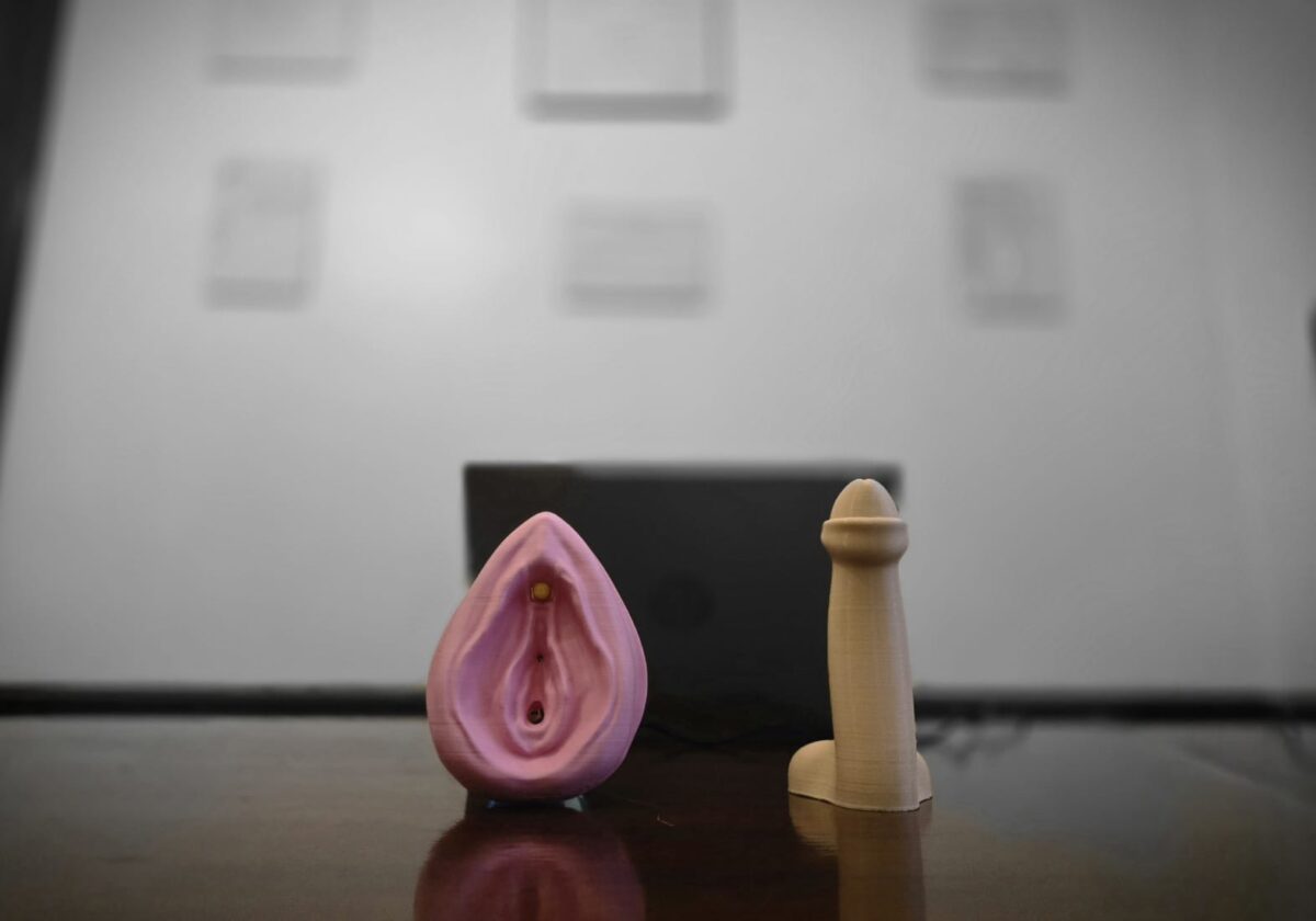 Terapia_sexologica_3 representacion fisica de dos esquemas de organos sexuales, el femenino a la izquierda y el masculino del lado derecho sobre el escritorio, de fondo una pc portatil y los titulos colgados en la pared.